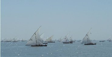 百舸爭流，不進則退，未雨綢繆才能贏發展